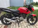 PULSAR 135 Ls for sale