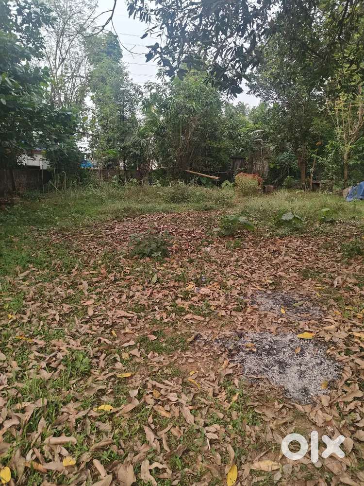 Chembarakky 50-cent land for sale -2.5 lakhs per cent prime location.