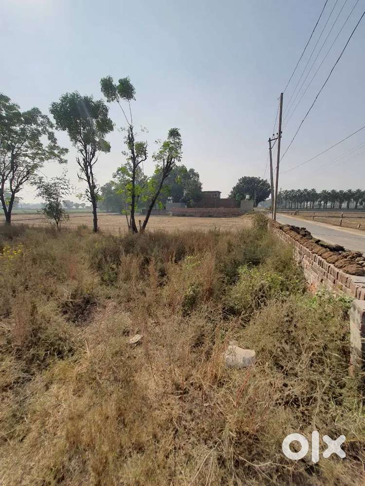 3 bigga on chhiniwal road , in mehal kalan ,district barnala