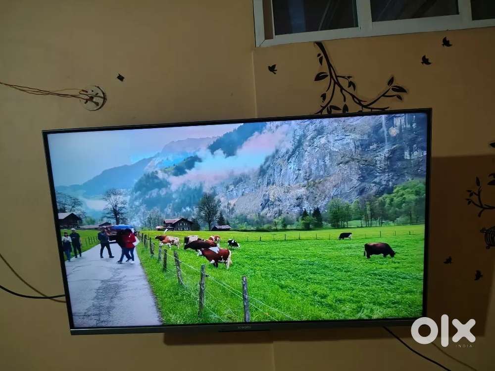 Xiaomi 43 inch 4 K LED