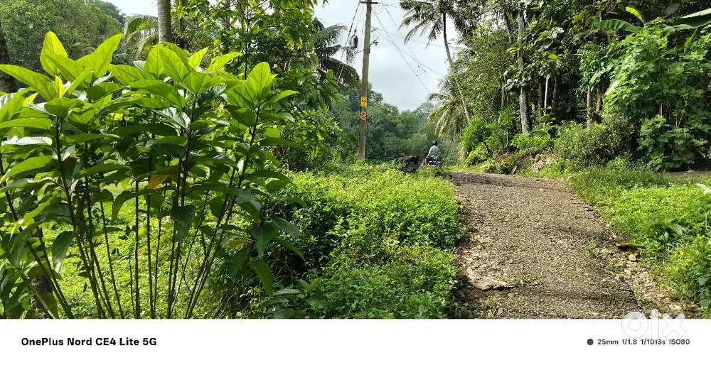 Urgent സെയിൽ വയൽ