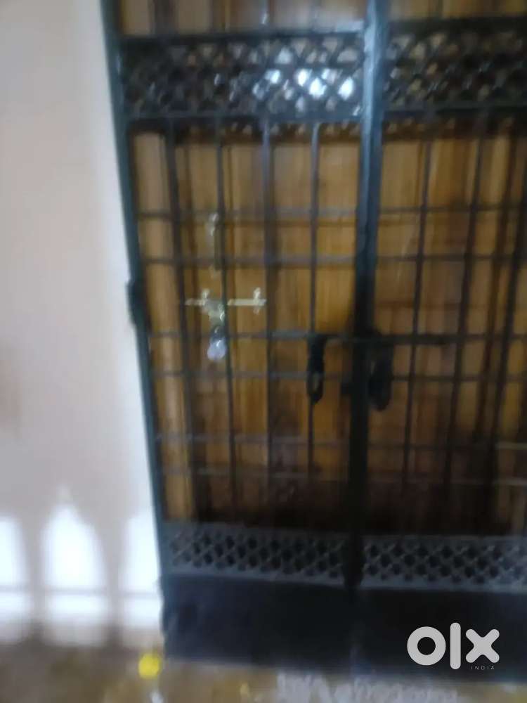 Need watchman ifor apartment