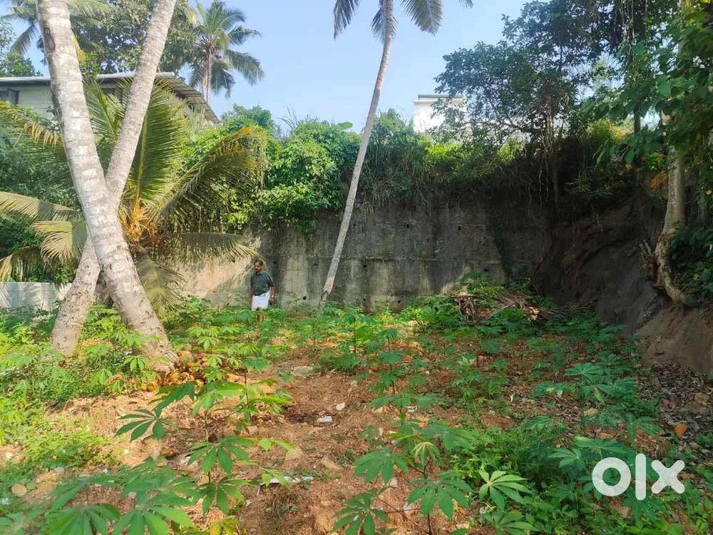 75 m  NH 66  .All international hotel,beach  1.5km .kovalam junc near