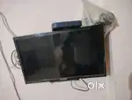 Television and fridge