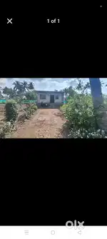 99 year karar varati sale karane ahe *fast*