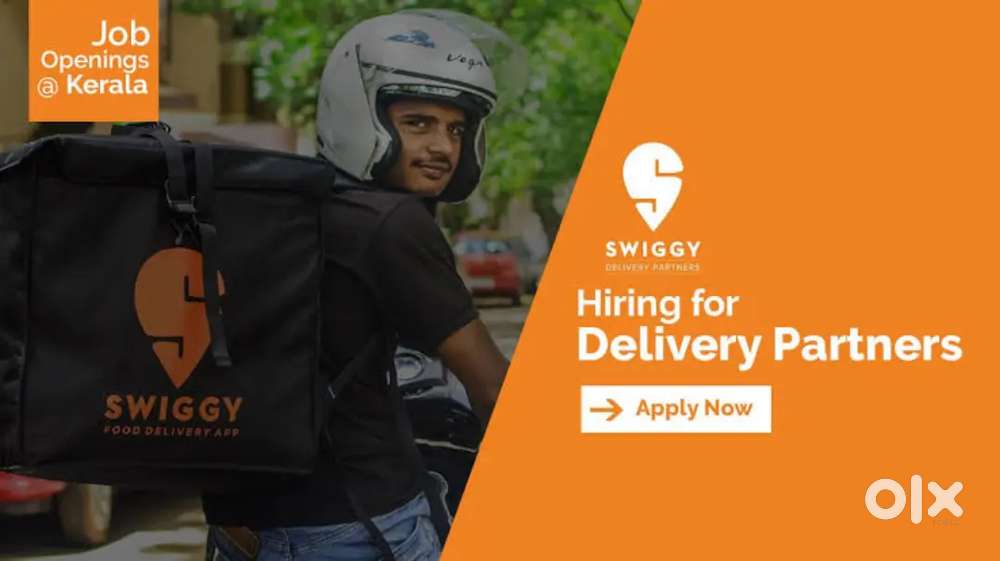 Swiggy food and instamart grocery delivery job