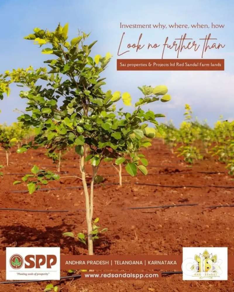 1acer Agriculture land for sale