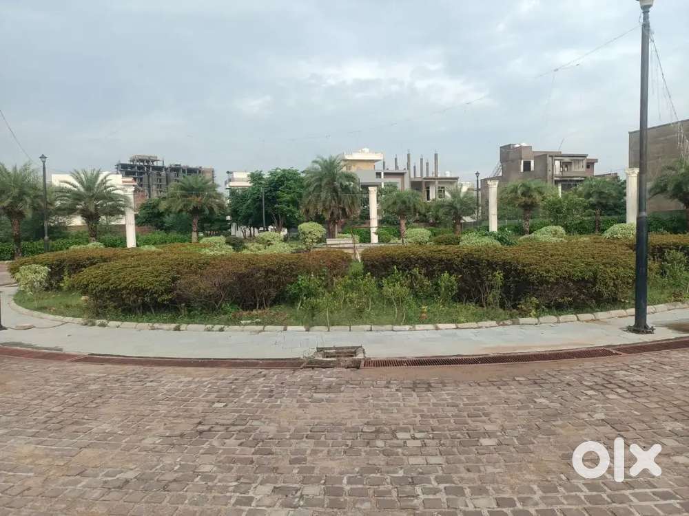 1000 and 1150 size plots