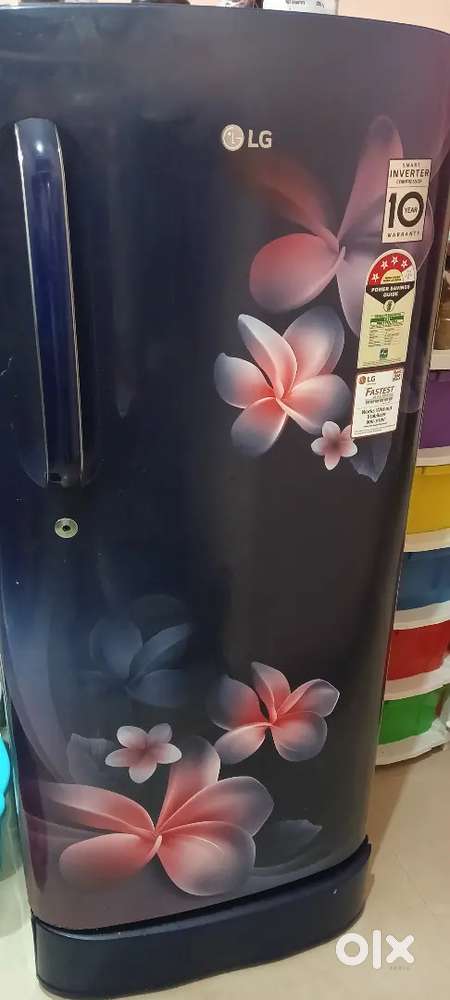 LG  refrigerator , 1 single mattress and 1 queen mattress