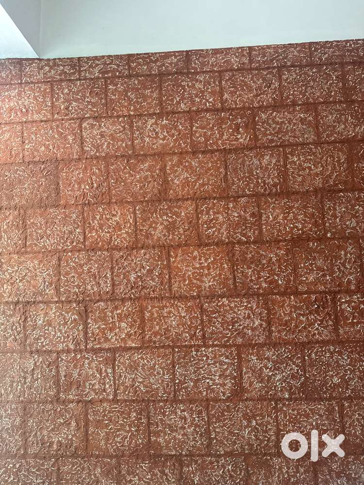 Urgently needed washing and cleaning for cafe