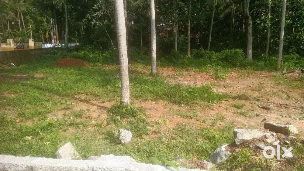 Sreekaryam kariyam 5,10 cent plot