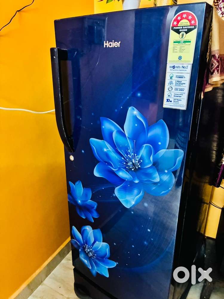 Haier refrigerator, model HED-205/2024.