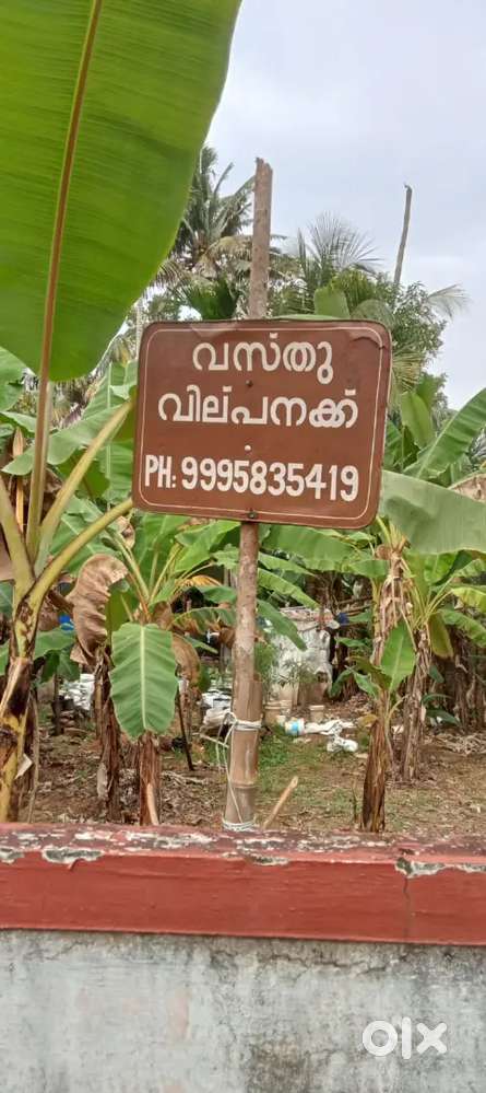 5cent plot for sale near kottayam