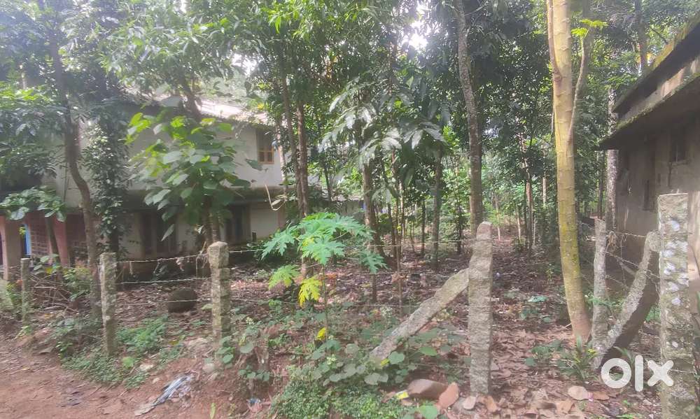 13.5 cent property for sale