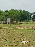 3 te jaiga ache 2 kata kore ..