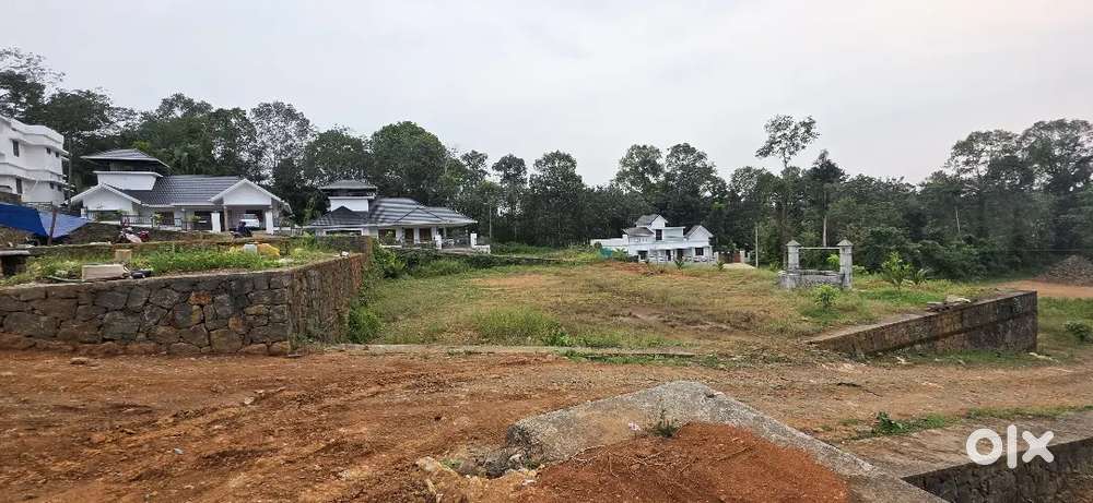 1ST CLASS PLOTS NEAR PALA