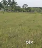 Agricultural land for sale