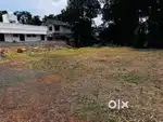 മണർകാട് മാധവൻപടി 12 സെന്റ് നല്ല frontage ഉള്ള പ്ലോട്ട്