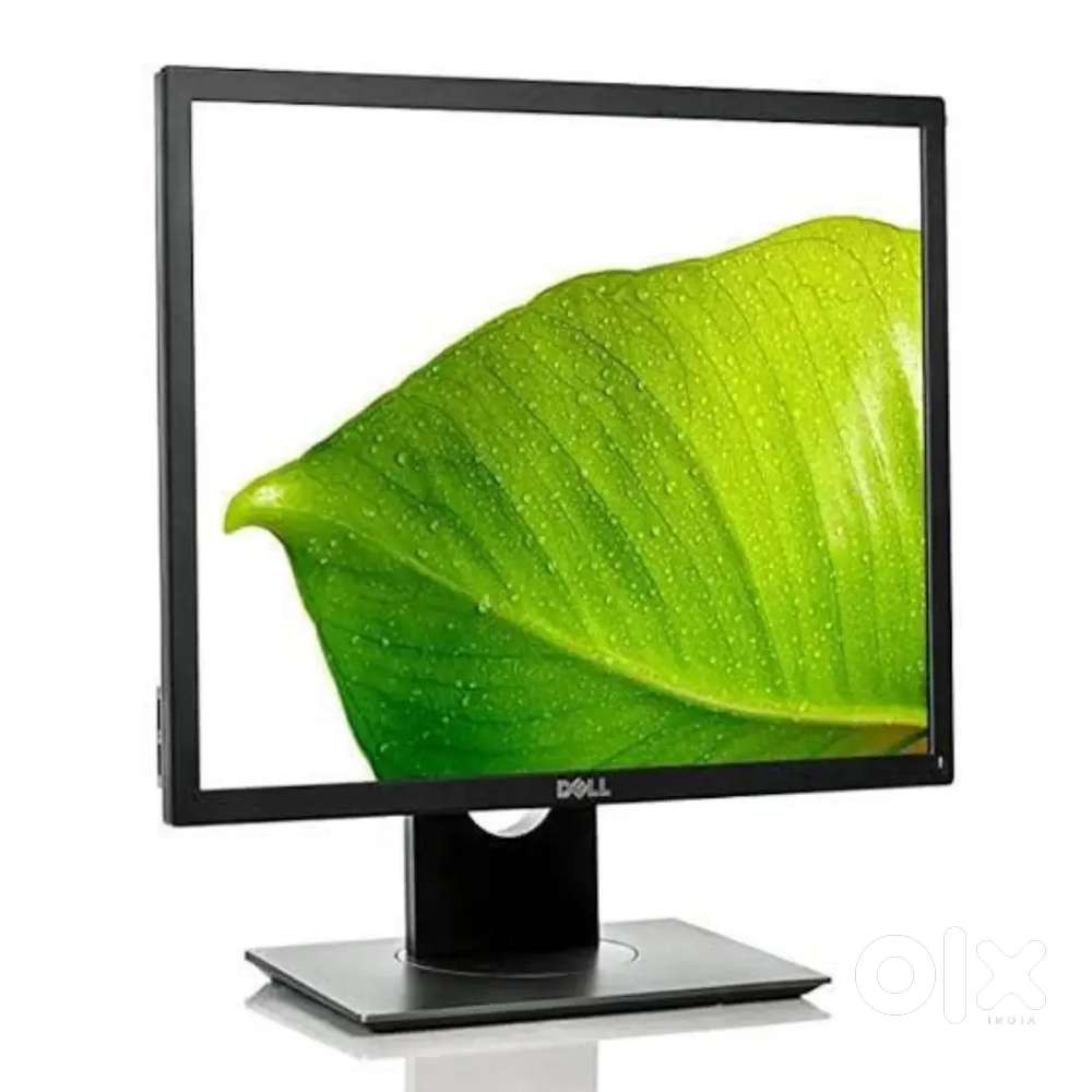 DELL 19” IPS LED