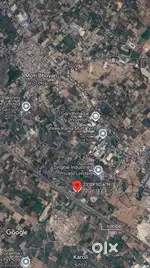 31 vigha land for sell at Moti Bhoyan.