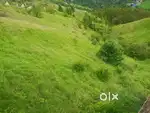 Land for Sale at Naldehra