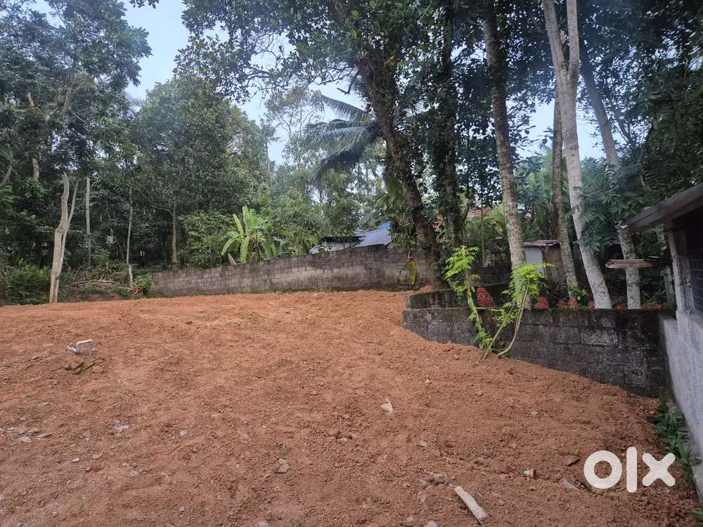8 cent plot for sale. Valiyarthala kunnumbara road trivandrum, kerala