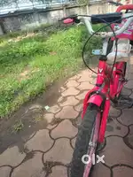 6 months old cycle . Cycle is in good condition and in working