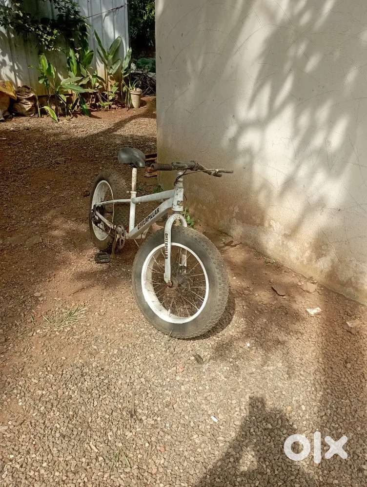Cycle fat wheel