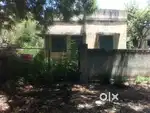ngo a colony
