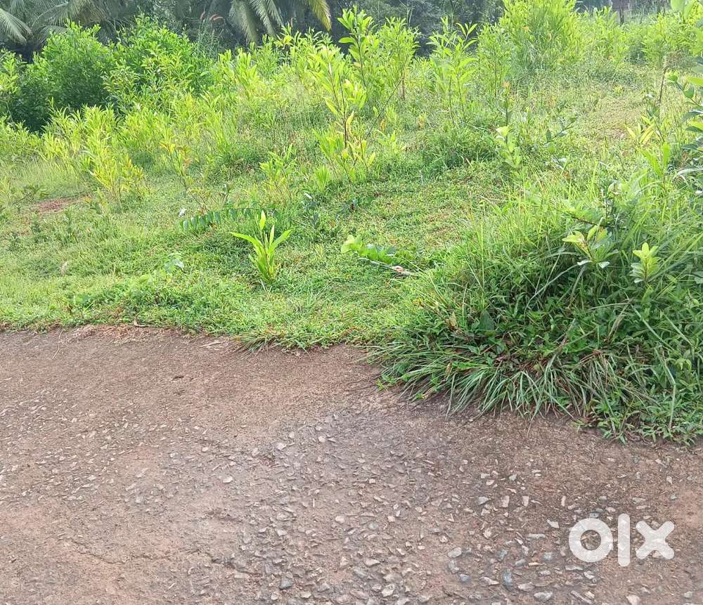 10, CENT LAND UPPALA AROUND...