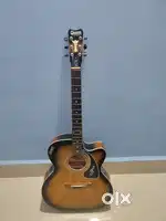 Brand new gibson  acoustic guitar