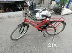 Dragon big size cycle bicycle
