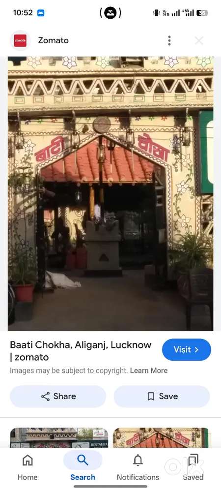 Specialties in indian food bati chokha etc.