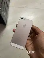 iPhone 5s new