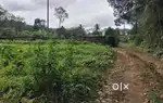 Land available for sale at kodakuthi kurishu 3km from choodi