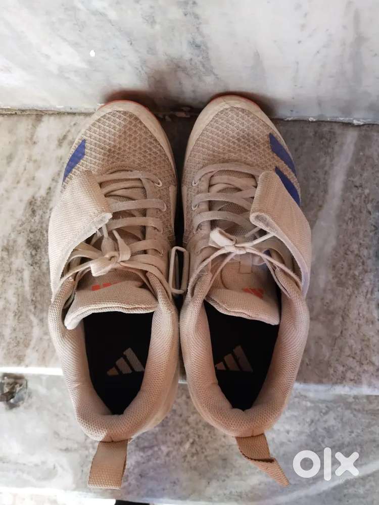 ADIPOWER VECTOR 20 SPIKES