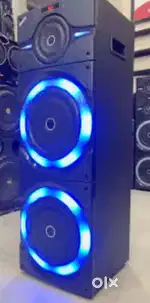 Party speaker