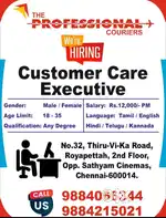 Customer support executive