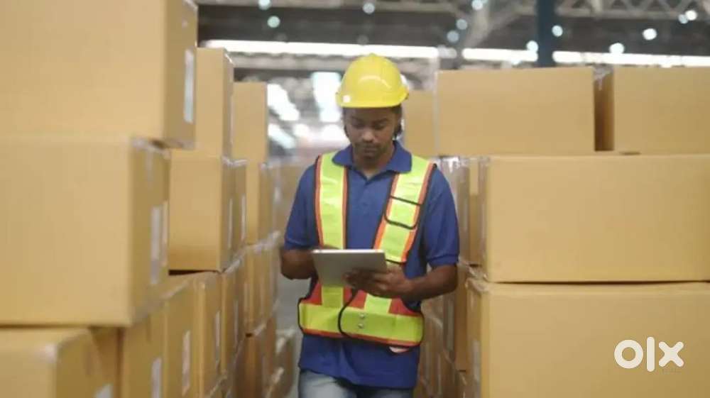 If anyone want job in pharmacy godown let me know