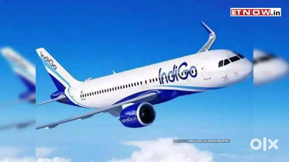 Required for Male and female candidates for indigo Airlines jobs
