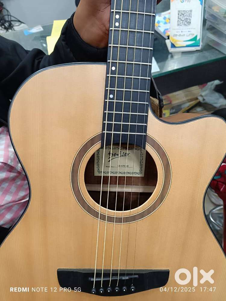 SEMI-ACCOUSTIC GUITER(DEVISER)