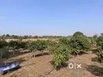 3 Guntha (3000 Sq.ft.)Plot available for sale at Rahata(Pimplus)