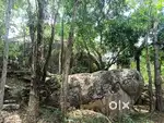 Plot for sale near roadside