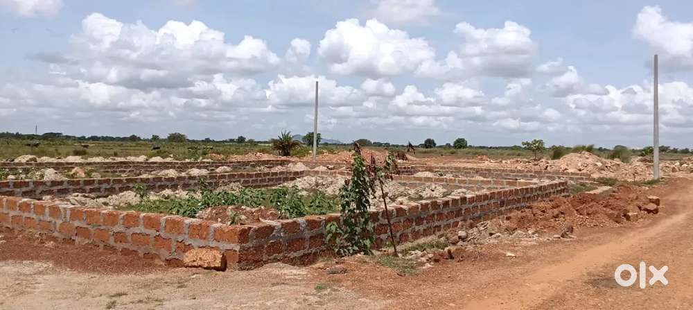 Allms hospital back side Bhubaneswar