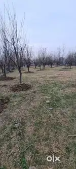 Land for sale at Chattergam/dooniwara linkroad