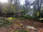 5.5 cent House plot for sale