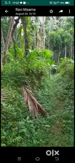 Plot to sale