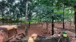 44 Cent Land at Marthandam Near to National and State Highway