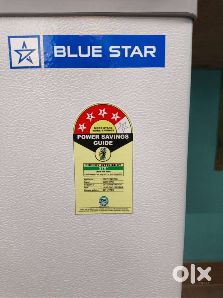 Blue Star Deep Freezer