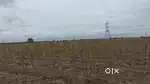 Agriculture Zameen bhade deni hai 2 lakh 11 mahine ka